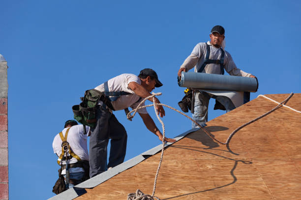 Best Sealant for Roof  in Evart, MI