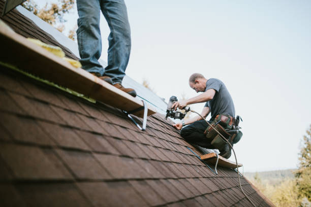 Best Roof Maintenance Services  in Evart, MI